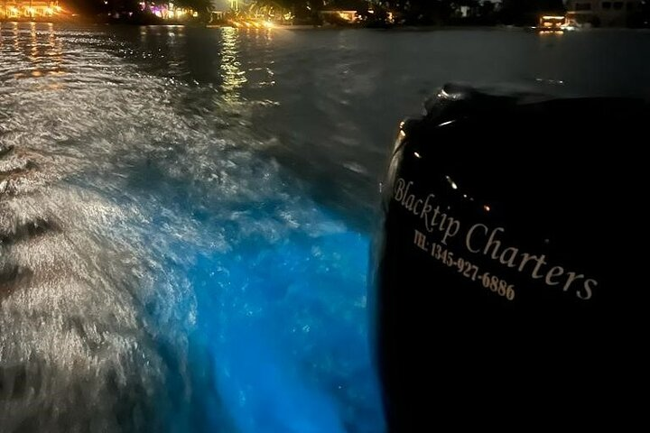 Private Bioluminescence Tour in Grand Cayman - Photo 1 of 3